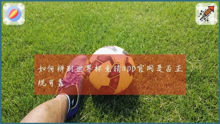 如何辨别世界杯竞猜app官网是否正规可靠