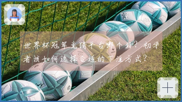 世界杯冠军竞猜平台哪个好？初学者该如何选择合适的下注方式？