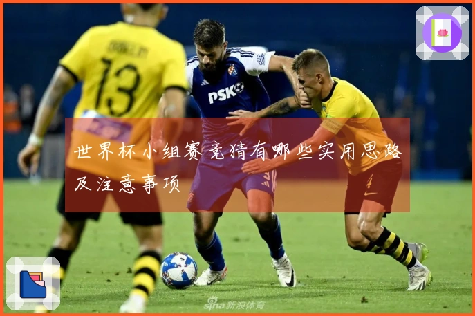世界杯小组赛竞猜有哪些实用思路及注意事项