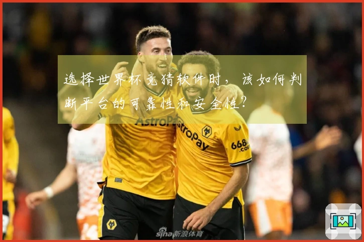 选择世界杯竞猜软件时，该如何判断平台的可靠性和安全性？