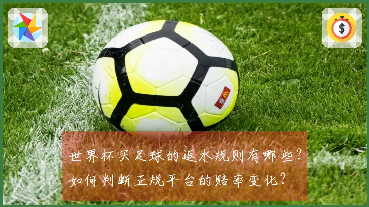 世界杯买足球的返水规则有哪些？如何判断正规平台的赔率变化？