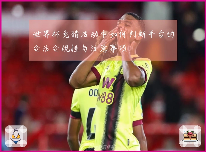 世界杯竞猜活动中如何判断平台的合法合规性与注意事项