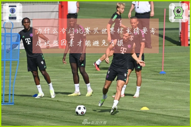 为什么冷门比赛买世界杯竞猜要考虑这些因素才能避免亏损