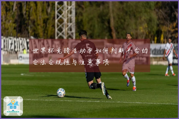 世界杯竞猜活动中如何判断平台的合法合规性与注意事项
